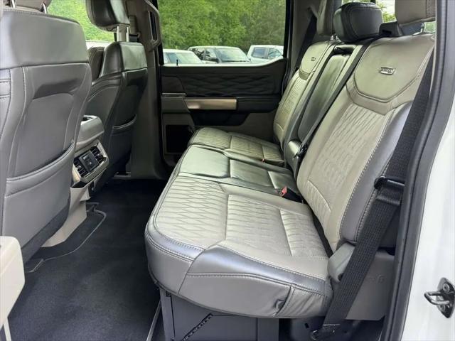 2025 Ford F-250 Platinum