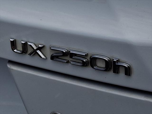 2020 Lexus UX 250h F SPORT