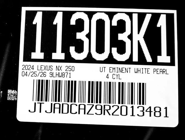 2024 Lexus NX NX 250