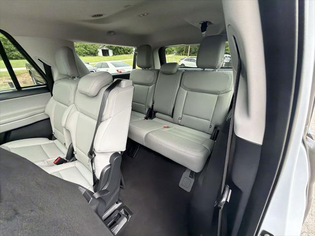 2025 Ford Expedition Active MAX