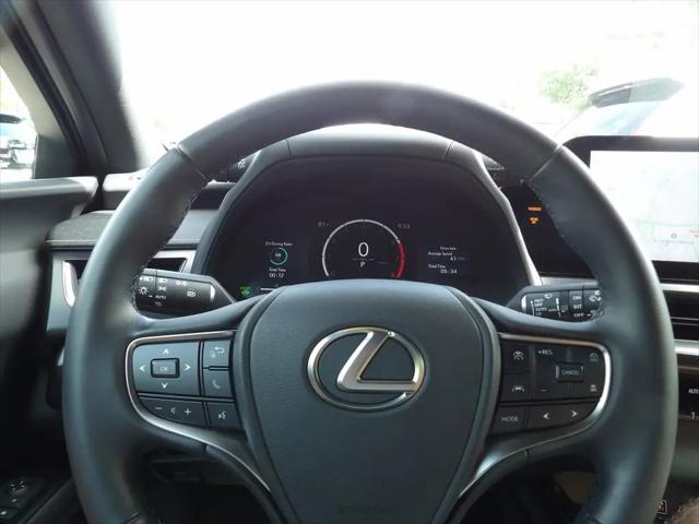 2025 Lexus 300 Premium