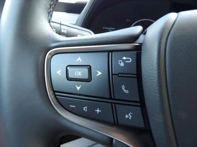 2025 Lexus 300 Premium