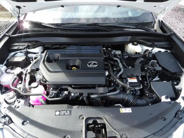 2025 Lexus 300 Premium