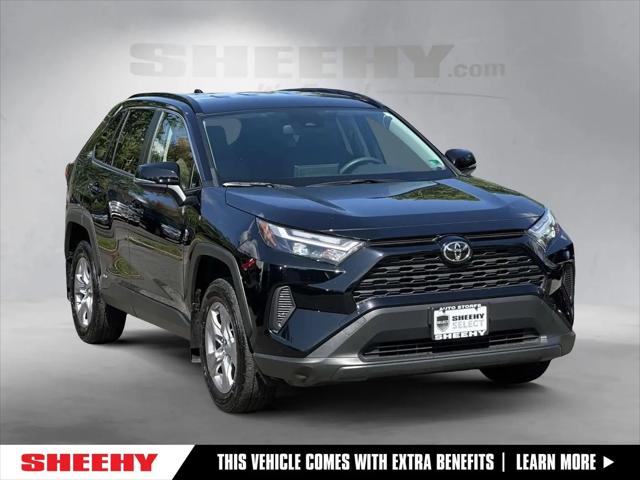 2025 Toyota RAV4 Hybrid XLE for sale in Alexandria, VA