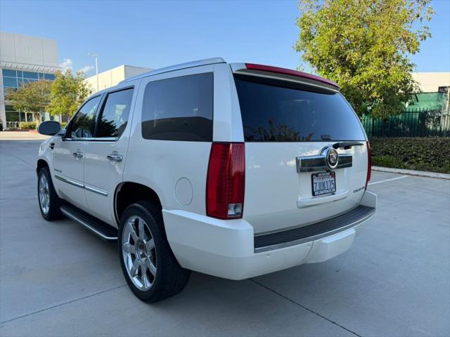 2008 Cadillac Escalade Standard