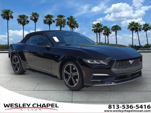 2024 Ford Mustang EcoBoost Premium Convertible for sale in Wesley Chapel, FL