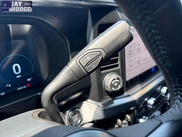 2025 Ford F-250 Platinum