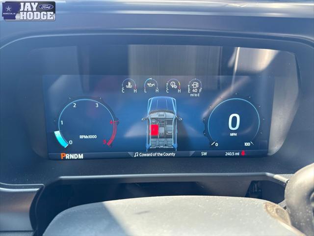 2025 Ford F-250 Platinum