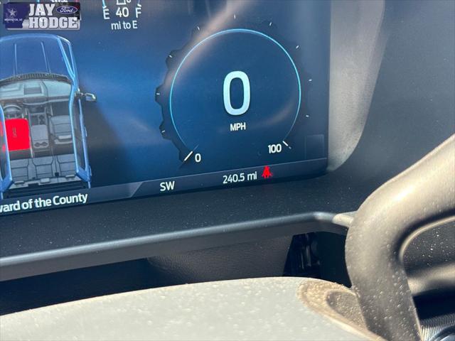 2025 Ford F-250 Platinum