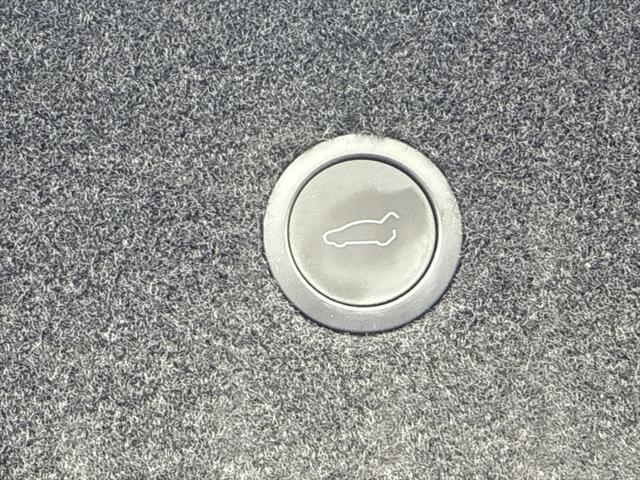2021 Tesla Model S Plaid Tri Motor All-Wheel Drive