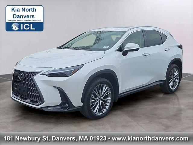 2024 Lexus NX 350 Luxury for sale in Danvers, MA