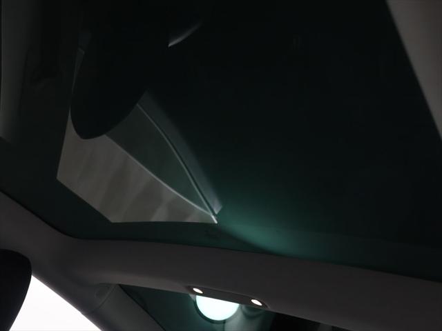 2019 Tesla Model 3 Performance