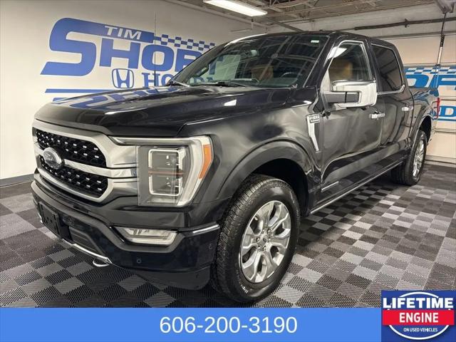 2023 Ford F-150 Platinum for sale in Ivel, KY