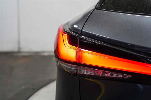 2024 Lexus RX 350 Unknown