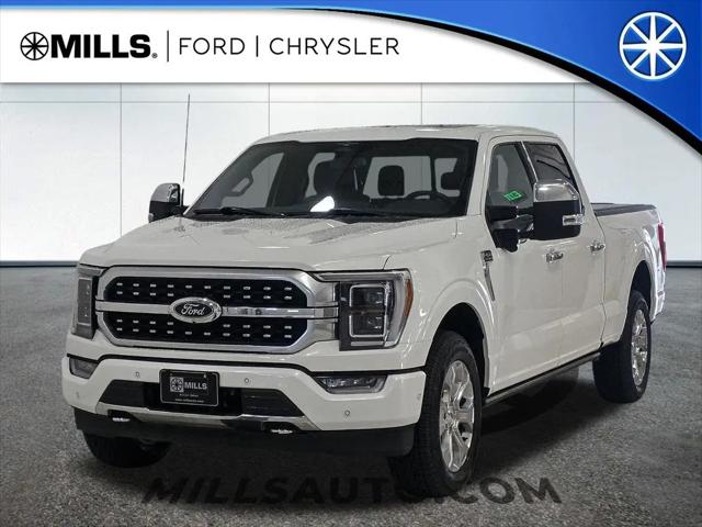 2023 Ford F-150 Platinum for sale in Willmar, MN