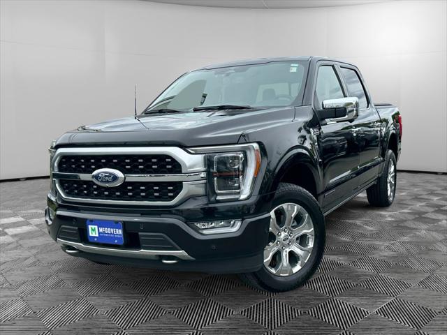 2023 Ford F-150 Platinum for sale in Peabody, MA