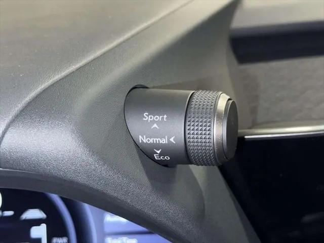 2026 Lexus 300 Premium AWD