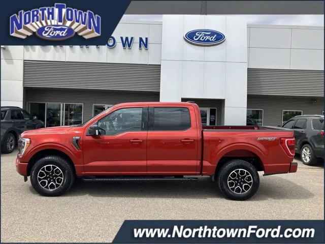 2023 Ford F-150 XLT for sale in Menomonie, WI