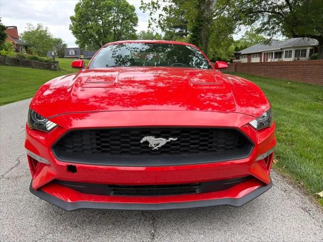 2022 Ford Mustang EcoBoost Fastback