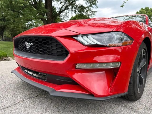 2022 Ford Mustang EcoBoost Fastback