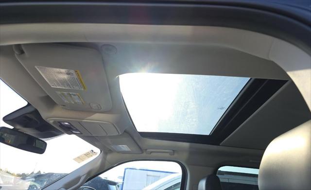 2025 Ford Expedition Active MAX