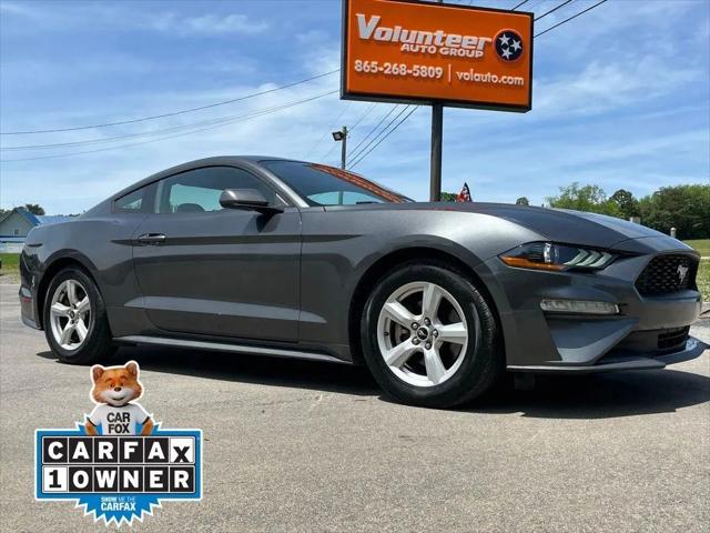 2019 Ford Mustang EcoBoost for sale in Maryville, TN