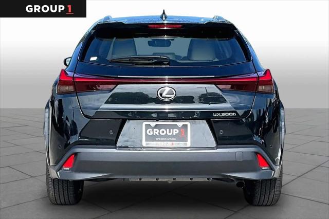 2025 Lexus 300 Premium