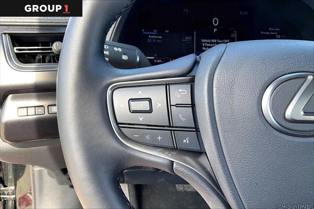 2025 Lexus 300 Premium