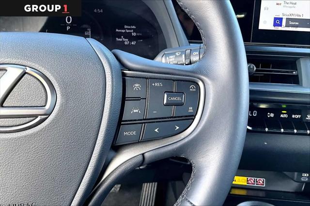 2025 Lexus 300 Premium