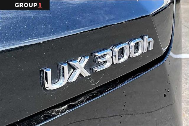 2025 Lexus 300 Premium