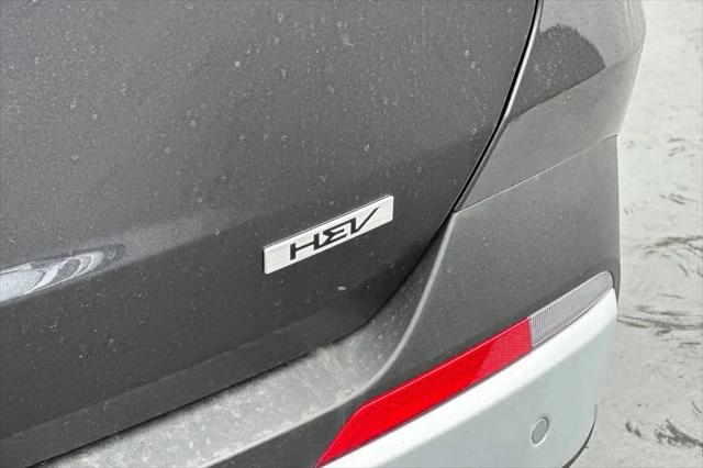2026 Kia Carnival MPV LXS