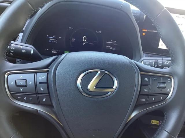 2025 Lexus 300 Premium