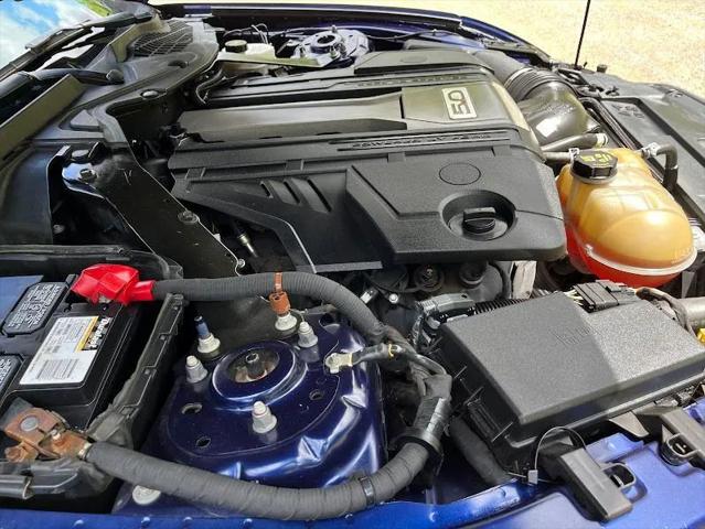 2019 Ford Mustang GT Premium