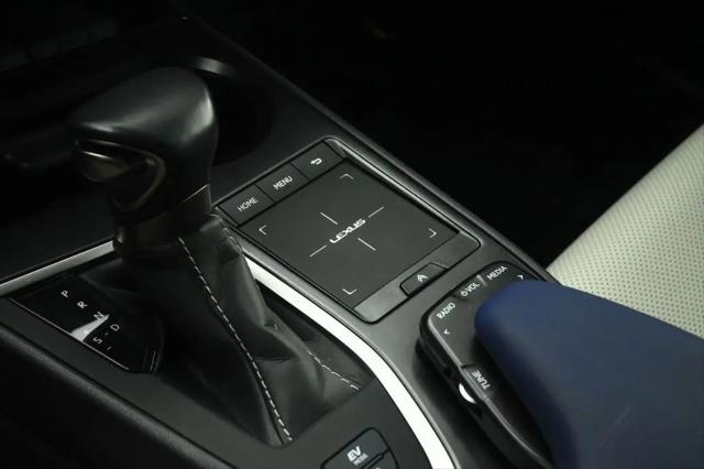 2021 Lexus UX 250h UX 250h