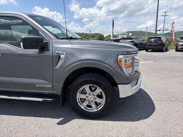 2023 Ford F-150 XLT 2023 Ford F-150 XLT