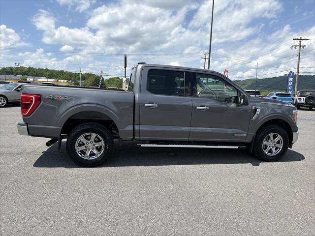 2023 Ford F-150 XLT 2023 Ford F-150 XLT