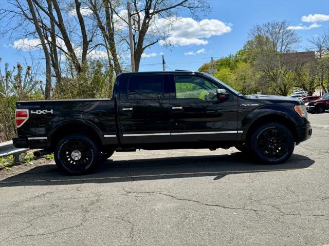 2010 Ford F-150 Platinum