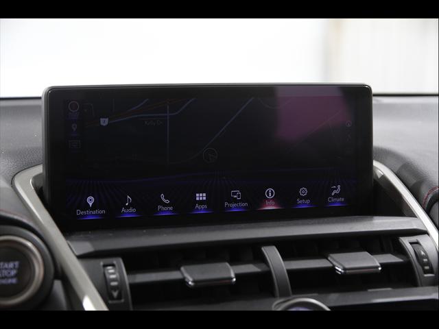 2020 Lexus NX 300 F SPORT