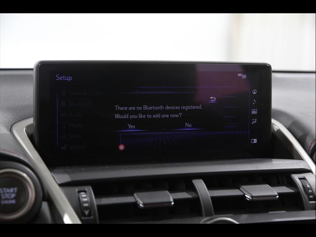 2020 Lexus NX 300 F SPORT