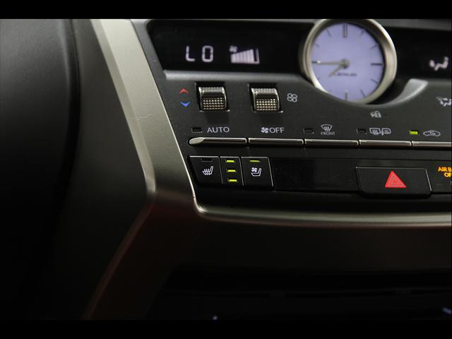2020 Lexus NX 300 F SPORT