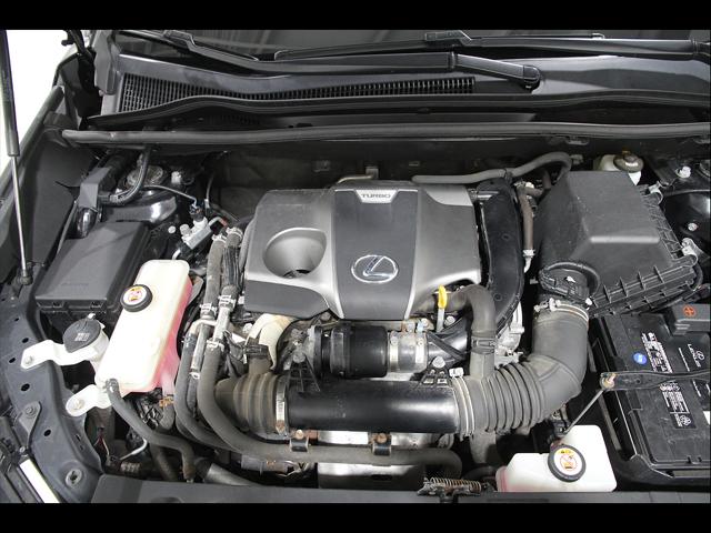 2020 Lexus NX 300 F SPORT
