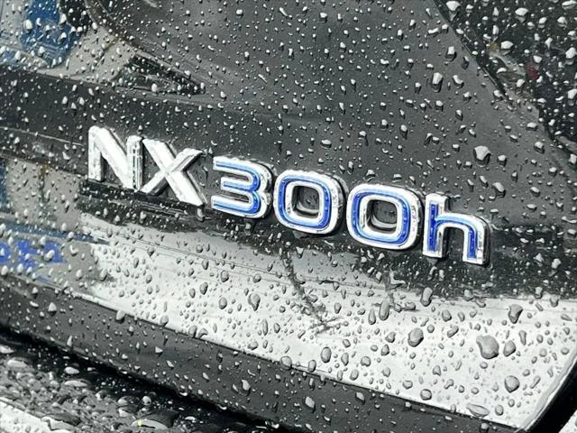 2019 Lexus NX 300h NX 300h