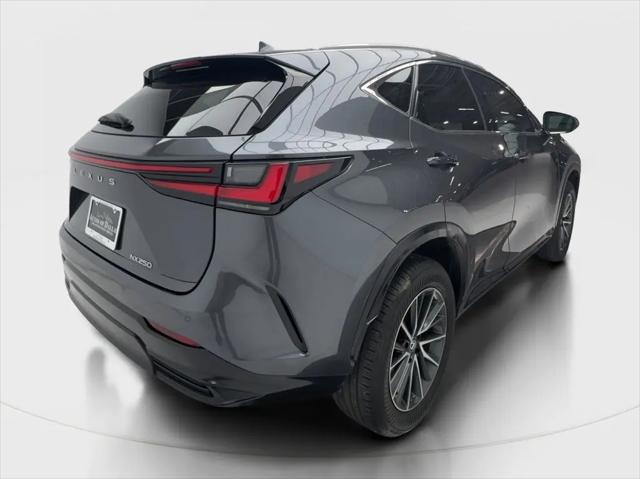 2025 Lexus NX NX 250