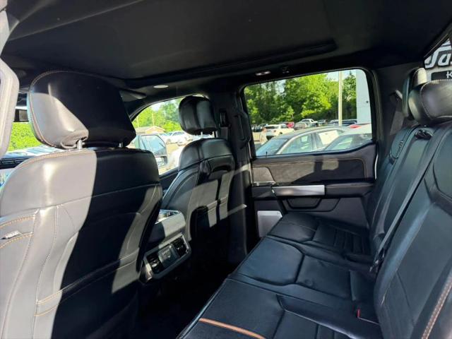2024 Ford F-250 Platinum