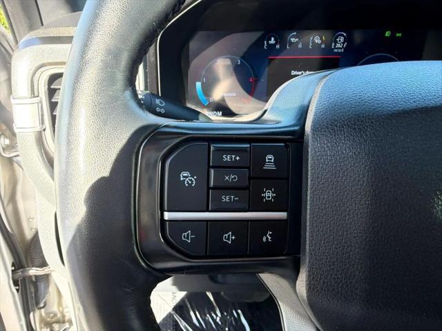 2024 Ford F-250 Platinum