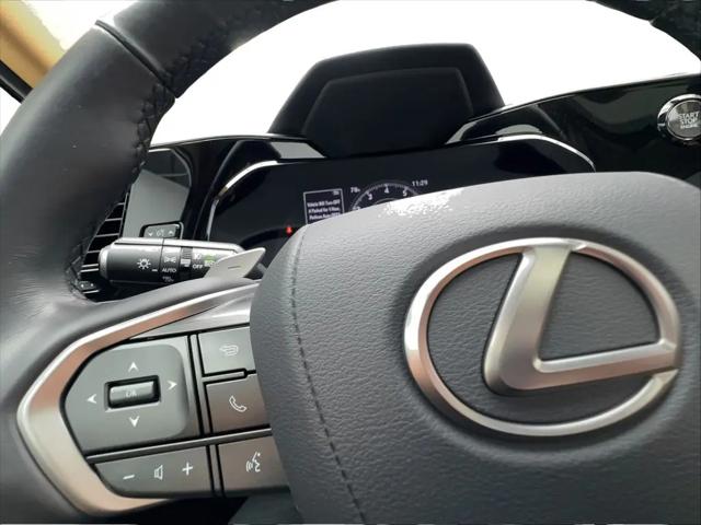 2025 Lexus NX NX 250