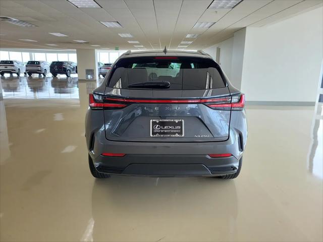 2024 Lexus NX NX 250