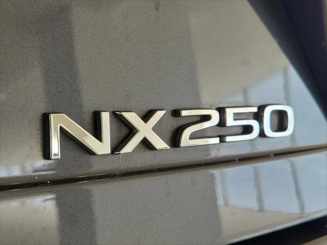 2024 Lexus NX NX 250