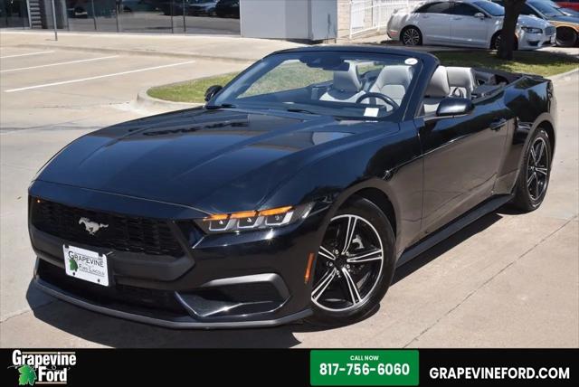 2024 Ford Mustang EcoBoost Premium Convertible for sale in Grapevine, TX