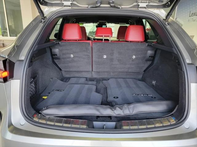 2024 Lexus NX 250 BASE